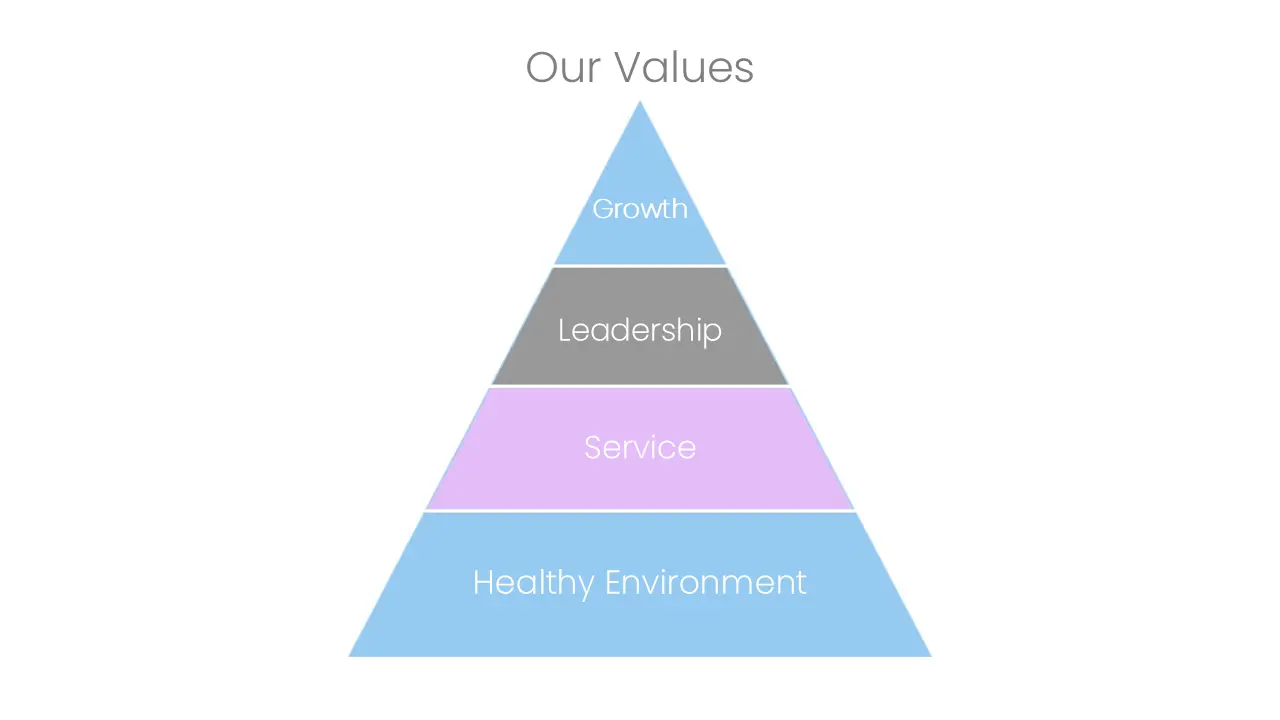 Our Company Values: Healthy Environment, Service, Leadership, Growth